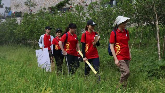 歷時(shí)7年試驗(yàn),集美大學(xué)【蠔殼惠民】酸化土壤改良慕課即將上線